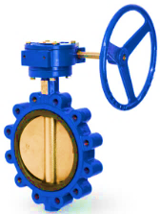 Butterfly Valve – Concentric design